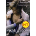 Piknik U Topoli